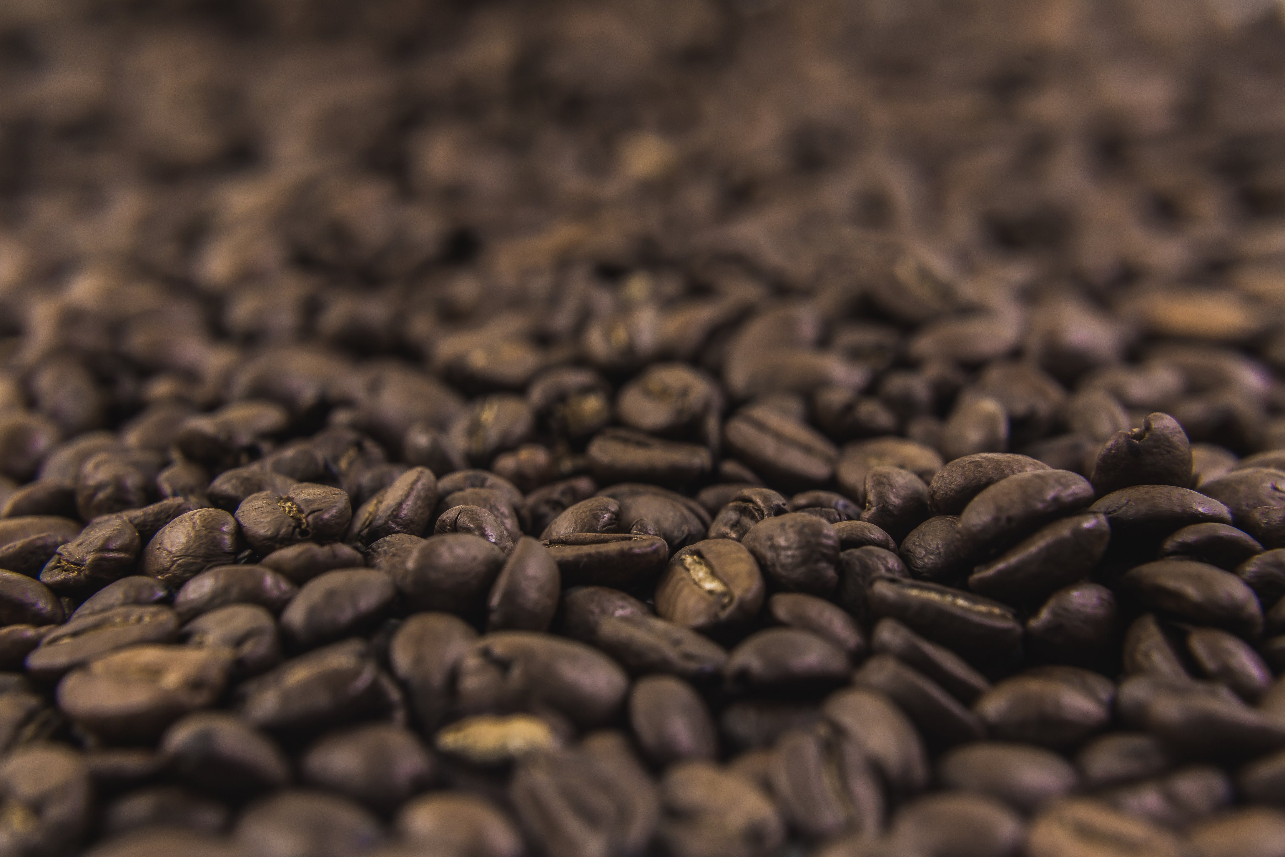 The best range of coffee beans online