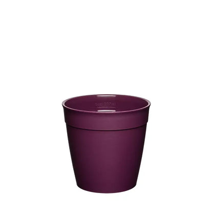 KeepCup Replacement Plastic Cup