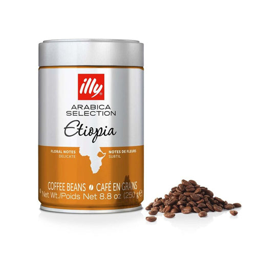 illy-monorabica-ethiopia-coffee-bean